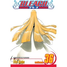 Bleach, Vol. 36: Turn Back The Pendulum