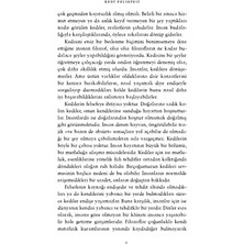 Kedi Felsefesi: Kediler ve Hayatın Anlamı