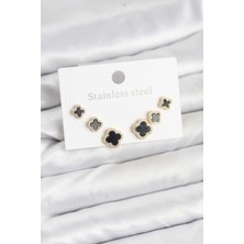 Mç Plus Erb 316L Çelik Zirkon Taşlı Yonca Model Kadın Küpe Seti