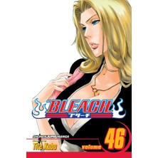 Bleach, Vol. 46: Back From Blind: Volume 46