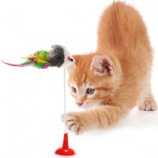 Judge Vantuzlu Kedi Oyuncağı - Eğlenceli Yakalama Egzersiz Oyuncağı