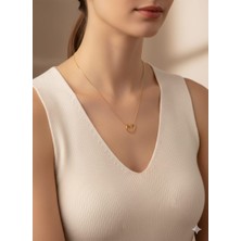 Akfecan Çelik 316L Kalp Kolye