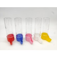 20 Adet Kanarya Muhabbet Kafes Suluk