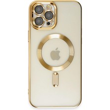 Mobify iPhone 12 Pro Max Kılıf Parlak Magsafe Detaylı Ultra Hafif Yapılı Birdsafe Premium Silikon Kapak