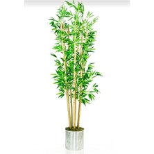 Erhan Flowers 180 cm 7 Dal Metal Saksı Da Bambu Yapay Ağaç