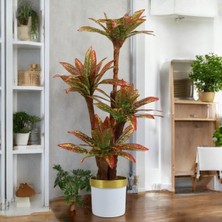 Erhan Flowers 150 cm Yapay Kırmızı Yuka Ağaç Beyaz Gold Saksı