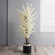 Erhan Flowers Yapay Beyaz Bahar Dalı Yapay Ağaç