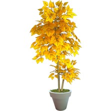 Erhan Flowers 160 cm Dut Ağaç