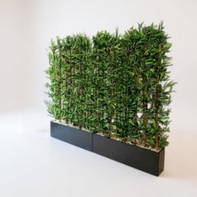 Erhan Flowers 110 cm Mdf Saksıda 100 cm 22 Adet Bambu Sperator