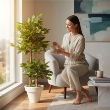 Erhan Flowers Yapay Çiçek Beyaz Saksıda Benjamin Salon Balkon Ev Ağacı Yeşil Bitkisi Bambu Gövdeli Dolgun