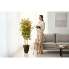 Erhan Flowers Yapay Bambu Ağaç 150 cm 6 Dallı Yogun Yaprak Lilyum Siyah Saksı