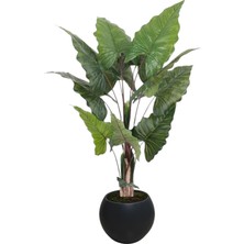 Yapay Fil Kulagı 180 cm Siyah Gold Saksı