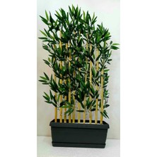 Erhan Flowers 10'lu 140 cm Bambu Plastik Saksı