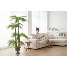 Erhan Flowers Yapay Palmiye Ağacı Bambu 4 Gövdeli 36 Yaprak 145 cm Nergiz Saksılı