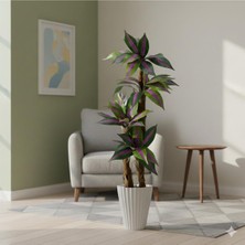 Erhan Flowers Yapay Zebra Mor Yapraklı Yuka Palmiyesi 170 cm 3 Gövdeli Lilyum Beyaz Saksılı