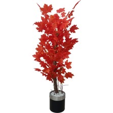 Erhan Flowers Kızıl Çınar