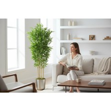 Erhan Flowers Yapay Bambu Ağaç 150 cm 6 Dallı Yogun Yaprak Metal Gümüş Saksı