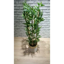 Erhan Flowers 120 cm Darbuka Saksıda Bambu 6 Dal