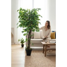 Erhan Flowers Yapay Çınar Ağaçı 180 cm Plastik Saksıda