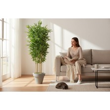 Erhan Flowers Yapay Bambu Ağaç 150 cm 6 Dallı Yogun Yaprak Beyaz Plastik Saksı