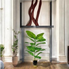 Erhan Flowers Yapay Çiçek Difenbahya Tropik 23 Yapraklı 85 cm Salon Çiçeği Siyah Gold Mını Darbuka Saksılı