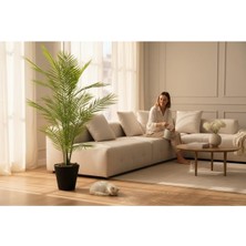 Erhan Flowers Yapay Areka Ağacı Palmiye Ağacı Salon Bitkisi Yapay Areka 130 cm 20 Yaprak Siyah Luna Saksı