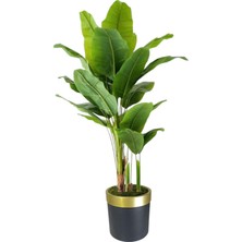 Yapay Muz Ağaçı17 Dal  Siyah Gold Saksı