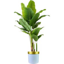 Yapay Ağaç Muz 180 cm Beyaz Gold Saksı