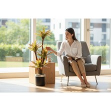 Erhan Flowers 150 cm Yapay Kırmızı Yuka Ağaç Siyah Gümüş Saksı