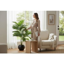 Erhan Flowers Yapay Çiçek Areka Palmiye Ağacı 100 cm Salon Çiçeği Yapay Bitki Saksı Siyah Küre