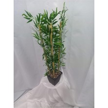 Erhan Flowers Plastik Saksı Da 110 cm Bambu