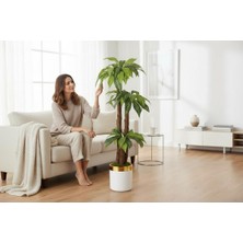 Erhan Flowers Yapay Zebra Yapraklı Yuka Palmiyesi 170 cm 3 Gövdeli Beyaz Gold Saksılı