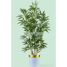 150 cm Islak Doku Bambu Ağaç Beyaz Gold Saksıda