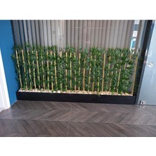 Erhan Flowers 2 mt Saksıda 1 mt Boyunda Bambu Speratör