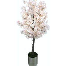 Erhan Flowers Kiraz Çiçeği Ağacı