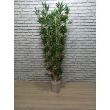 Erhan Flowers Şık Metal Saksıda 180 cm 6 Dal Bambu