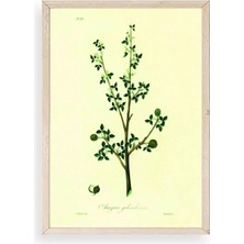 Yazline Global Yapraklar Ahşap Çerçeveli Tablo 50 x 70