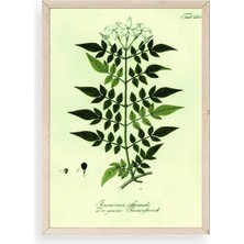 Yazline Global Yapraklar Ahşap Çerçeveli Tablo 17 x 23