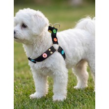 Balkonda Köpek Göğüs Tasması Minik ve Küçük Irk Ayarlamalı Ponponlu Kolon Kordon Siyah