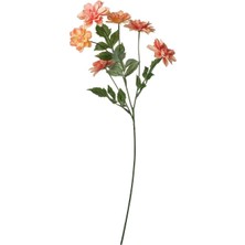 Ikea Smycka Yapay Çiçek Turuncu 66 cm Yıldız Çiçeği 60606058