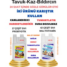 Ovumix Tüm Kanatlılar Için Canlandırıcı Takviye Seti – Neşe, Iştah, Yumurta ve Enerji Desteği | 2×450 ml Multivitamin + Probiyotik