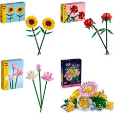 LEGO Botanicals Seti 281 (40524 + 40460 + 40647 + 10347)