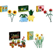 LEGO Botanicals Seti 371 (40524 + 10349 + 40460 + 10329 + 40747)