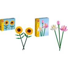 LEGO Botanicals Seti 5 (40524 + 40647)