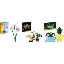 LEGO Botanicals Seti 155 (40647 + 10373 + 10349)