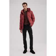 Jakamen Bordo Lacivert Comfort Fit Kapuşonlu Şişme Mont