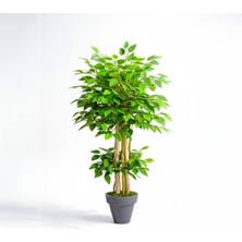 Yapay Benjamin Ağaç Islak Doku Dogal Gövde Siyah Saksı 150 cm