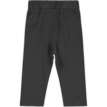 Civil Baby Düz 6-18 Ay Tayt - Gri 9-12 Ay