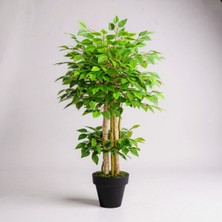 Yapay Benjamin Ağaç Islak Doku Dogal Gövde Siyah Saksı 140 cm