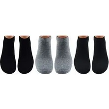 Punto 5145 Erkek Termal Patik